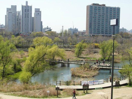 Taman Eko Saetgang Yeouido
